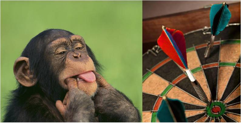 chimp-darts